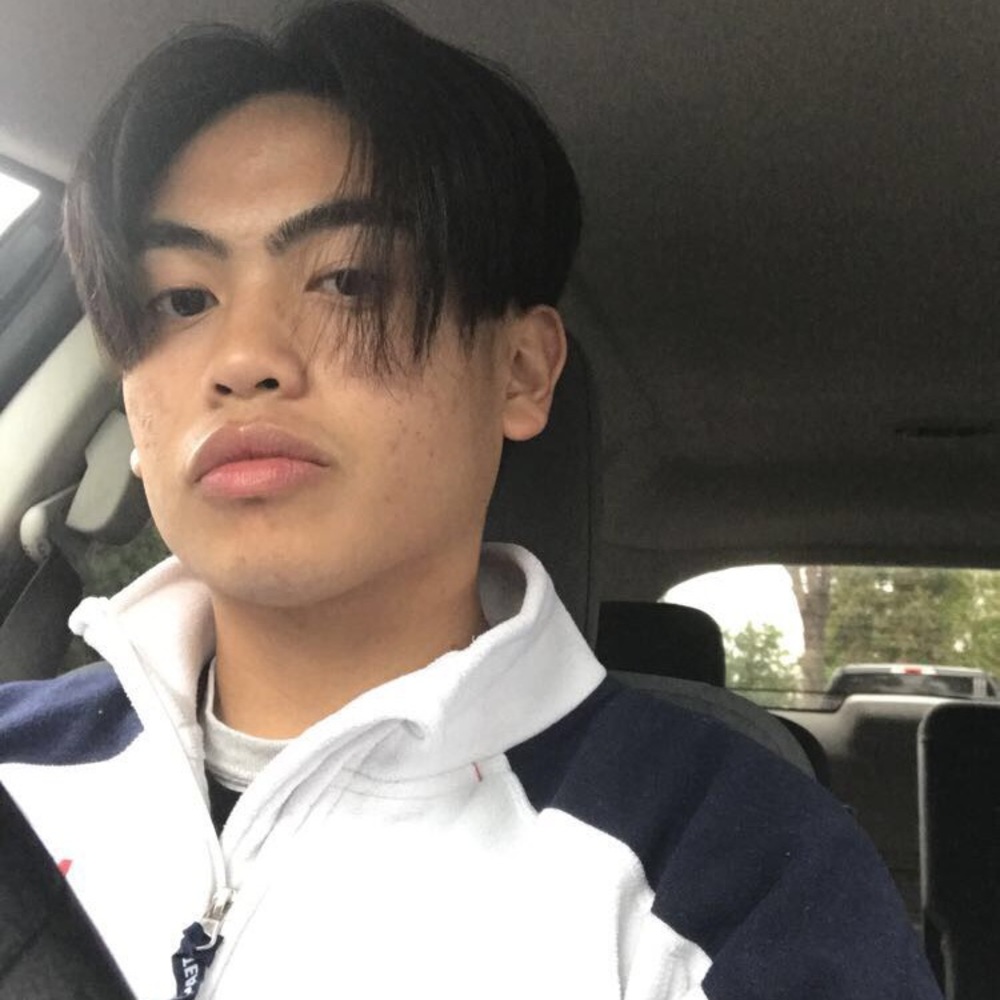 Meet your Posher, Dino-mikael